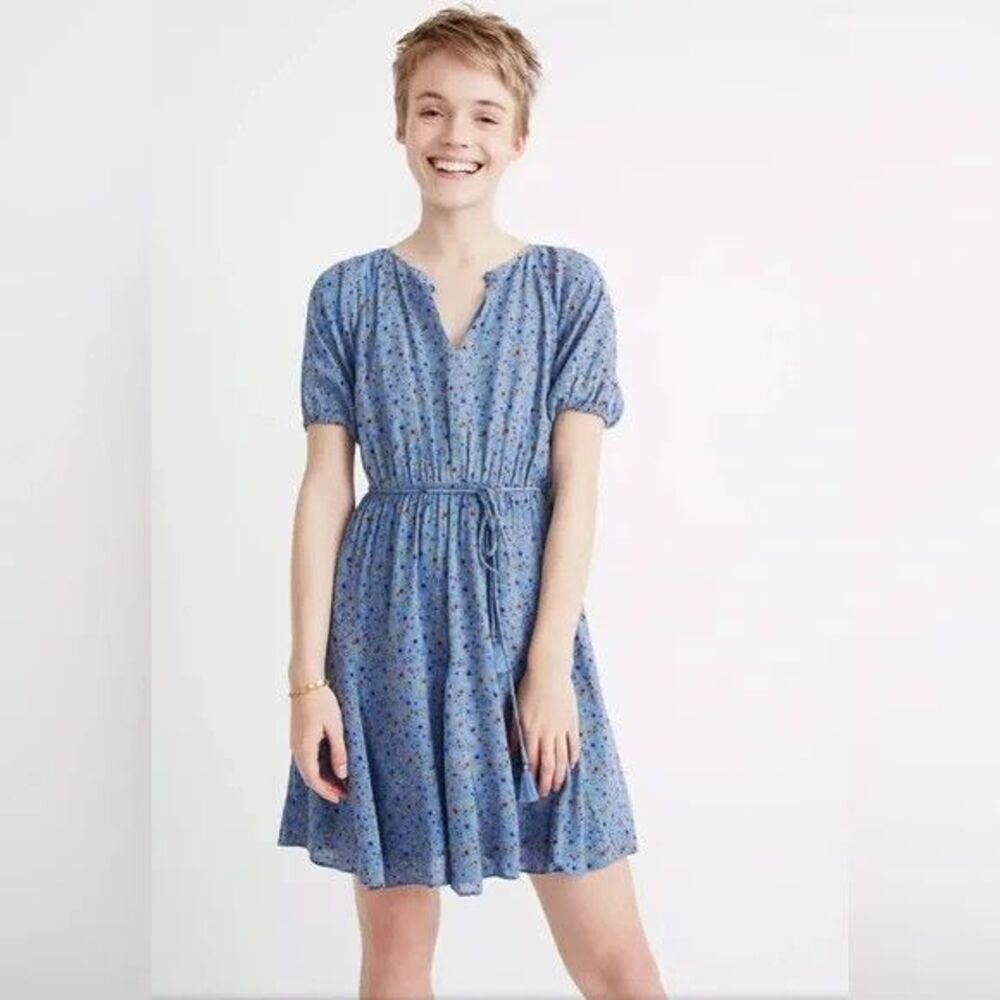 Madewell size 6 dress linen wildflower calico tassel keyhole lining pleated zip